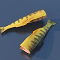 Fish salmon food gourmet 3d model