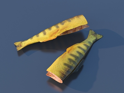 Fish salmon food gourmet 3d model