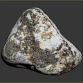 Natural Wood Stone Showing White Brown Speckled Texture And Natural Rough Surface