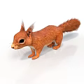 Realistic Detailed Red Fur Squirrel 3D Model Standing on White Background 3d model