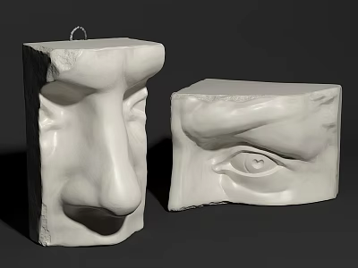 Artistic Sculpture Carving of White Facial Features Detailed Nose and Eye 3d model