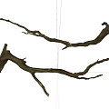 Rustic Stone Wood Dry Branches With Weathered Texture And Natural Curved Shape