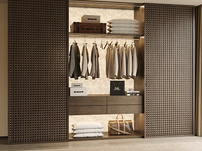 Modern Wardrobe Interior Design With Glass Door Hanging Clothes Folded Garments And Storage Boxes 3d model