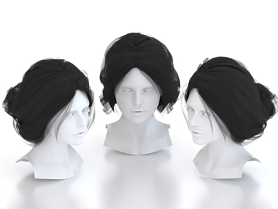 Hair Wig Hairstyle Long Hair Head 3d model