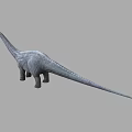 Realistic Sauropod Dinosaur 3D Model With Long Neck And Gray Skin 3d model