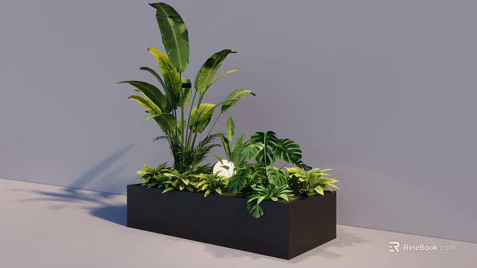 Indoor Black Square Planter With Various Green Plants Large Leaves Ferns And White Flower Bonsai 3d model 