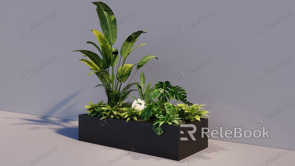 plantain plant tropical plant potted model