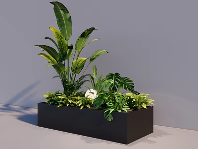 Indoor Black Square Planter With Various Green Plants Large Leaves Ferns And White Flower Bonsai 3d model