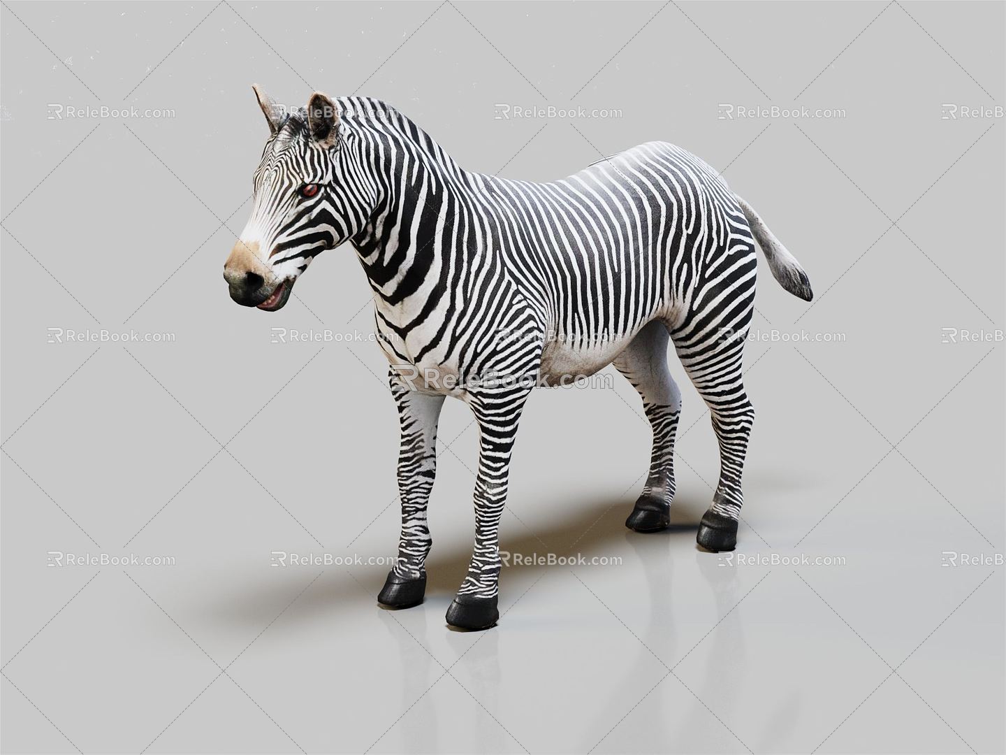 Modern zebra animals 3d model