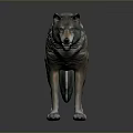 3D Wolf Model Standing Pose With Realistic Fur Texture On Dark Background 3d model