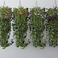 Modern Hanging Basket Green Plant Wall Green Plant Chandelier 3d model