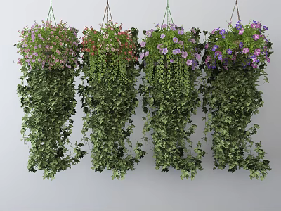 Hanging Basket Plants With Trailing Green Vines And Colorful Flowers For Home Decor 3d model
