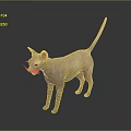 Sphynx Cat With Pink Skin Standing On Gradient Gray Background With Slender Tail And Ears
