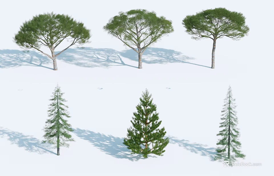 Six Different Arbor Trees 3D Illustration With Natural Shadows On White Background 3d model 