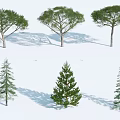 Six Different Arbor Trees 3D Illustration With Natural Shadows On White Background