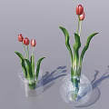 Transparent Vase With Red And Pink Tulips And Green Leaves