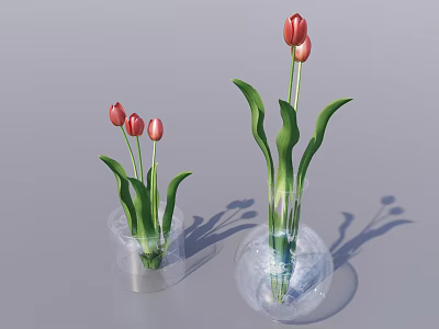 Transparent Vase With Red And Pink Tulips And Green Leaves 3d model