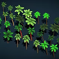 Green Palm Trees of Various Sizes with Shadows on Dark Background