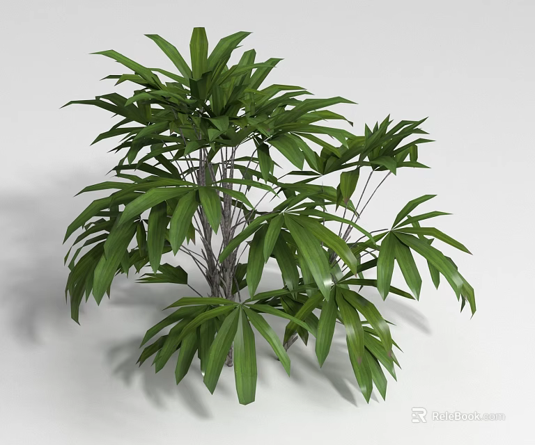 Shrub With Lush Green Foliage And Wooden Stems In Natural Scene 3d model 