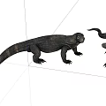 Two Black Reptiles Komodo Dragons With Scaly Skin Long Tails On White Background