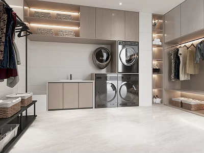 Modern Laundry Wardrobe Space With Washing Machine Dryer And Clothes Storage Racks 3d model