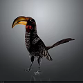Colorful Bird With Large Orange Beak Red Head And Spotted Body Feathers Standing Isolated