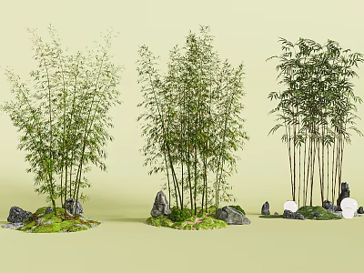 Lush Bamboo Clumps With Stones And Green Moss In Natural Setting 3d model