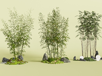 Modern New Chinese Bamboo Luohan Bamboo Xiangfei Bamboo Courtyard Bamboo Moss Terrain Bamboo Potted Plant 3d model