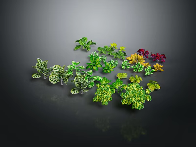 Various Vibrant Decorative Plants Featuring Green Yellow Red Leaves And Different Shapes Sizes 3d model
