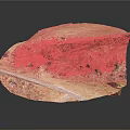 Detailed Rock Mountain Landscape Model With Vegetation Pathway And Surface Texture