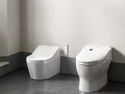 Two White Modern Toilets in Contemporary Bathroom with Sleek Design Elements 3d model