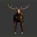 Realistic 3D Deer Model With Large Antlers Brown Coat And White Hooves