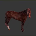 3D Horse Model With Standing Pose Detailed Brown Coat And Dark Background 3d model