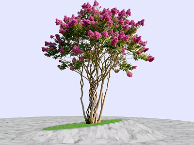 Twisted Trunk Tree With Pink Flowers Growing On Green Grass And Gray Stone Pavement 3d model