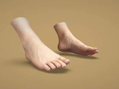 Detailed Human Foot Anatomical Model Displaying Realistic Toes Structure And Skin Texture 3d model