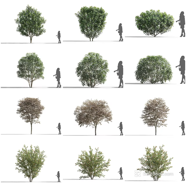 Various Types of Trees Displayed with People for Size and Shape Reference 3d model 