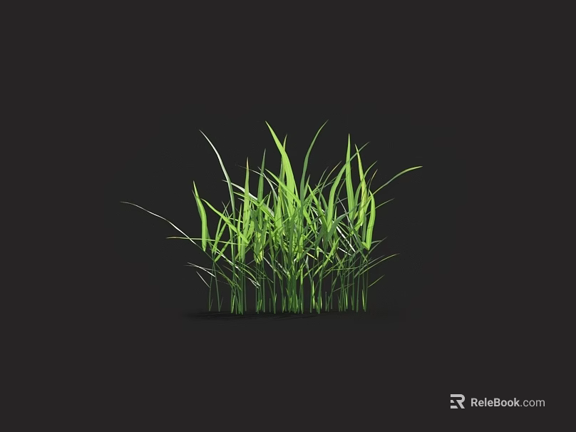 Lush Green Grass With Fresh Leaves On Dark Background And Reflection 3d model