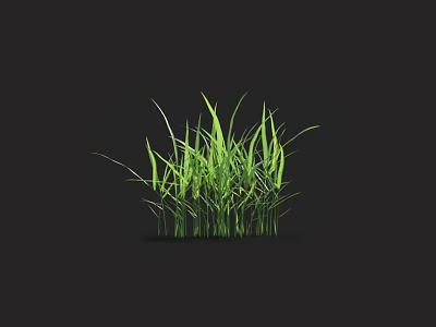 Lush Green Grass With Fresh Leaves On Dark Background And Reflection 3d model