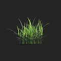 Lush Green Grass With Fresh Leaves On Dark Background And Reflection 3d model