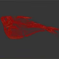 Artistic Golden Fish Skeleton Display On Dark Background With Reflection