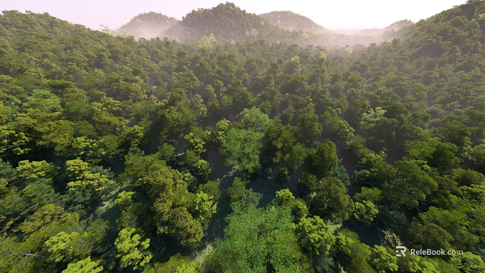 Lush Arbor Trees in Dense Forest Canopy with Green Vegetation and Mountainous Backdrop 3d model 