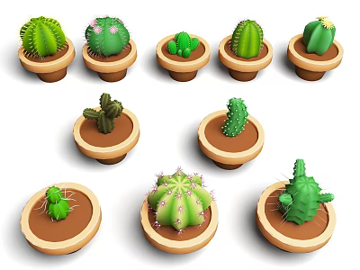 Decorative Potted Cactus Plants In Various Shapes With Brown Ceramic Pots 3d model