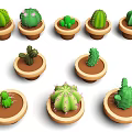 Decorative Potted Cactus Plants In Various Shapes With Brown Ceramic Pots