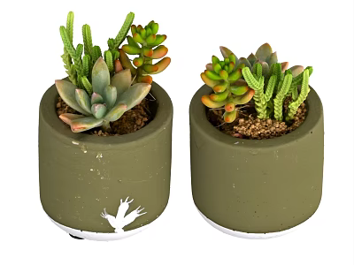 Two Green Ceramic Potted Succulent Plants with White Decorative Details for Indoor 3d model