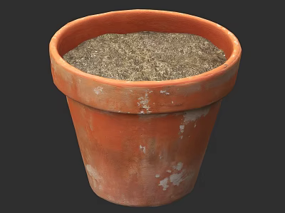 Bonsai Potted Plant in Terracotta Orange Weathered Surface Pot with Rich Soil Inside 3d model