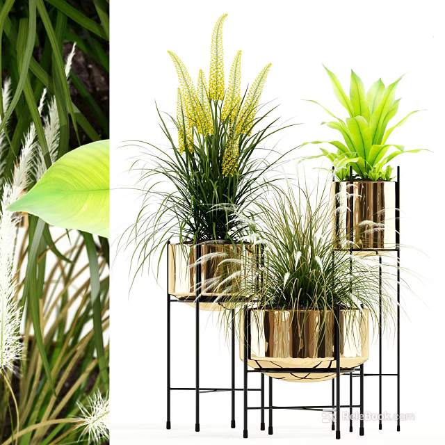 Bonsai Potted Plants In Modern Metallic Pots On Black Stands With Various Green Yellow Foliage 3d model 
