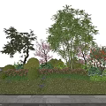 Lush Garden Shrubs With Decorative Trees Flowers And Green Grass Near Stone Path