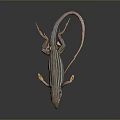 Striped Lizard with Orange Brown Body on Smooth Black Surface and Long Tail