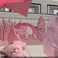 Pink The North Face Themed Floral Installation With Cactus Sculptures And Helmets On Shelves