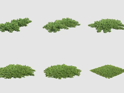 Different Types Of Green Shrubs With Various Shapes For Outdoor Landscaping 3d model
